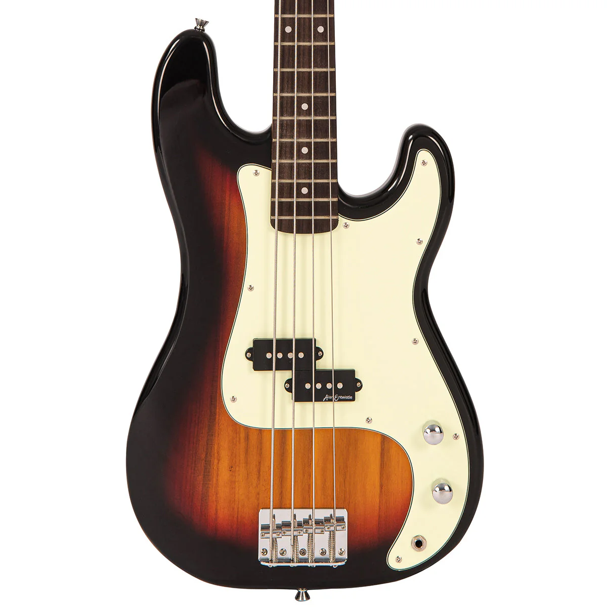 VINTAGE Coaster Series Bass V40SB