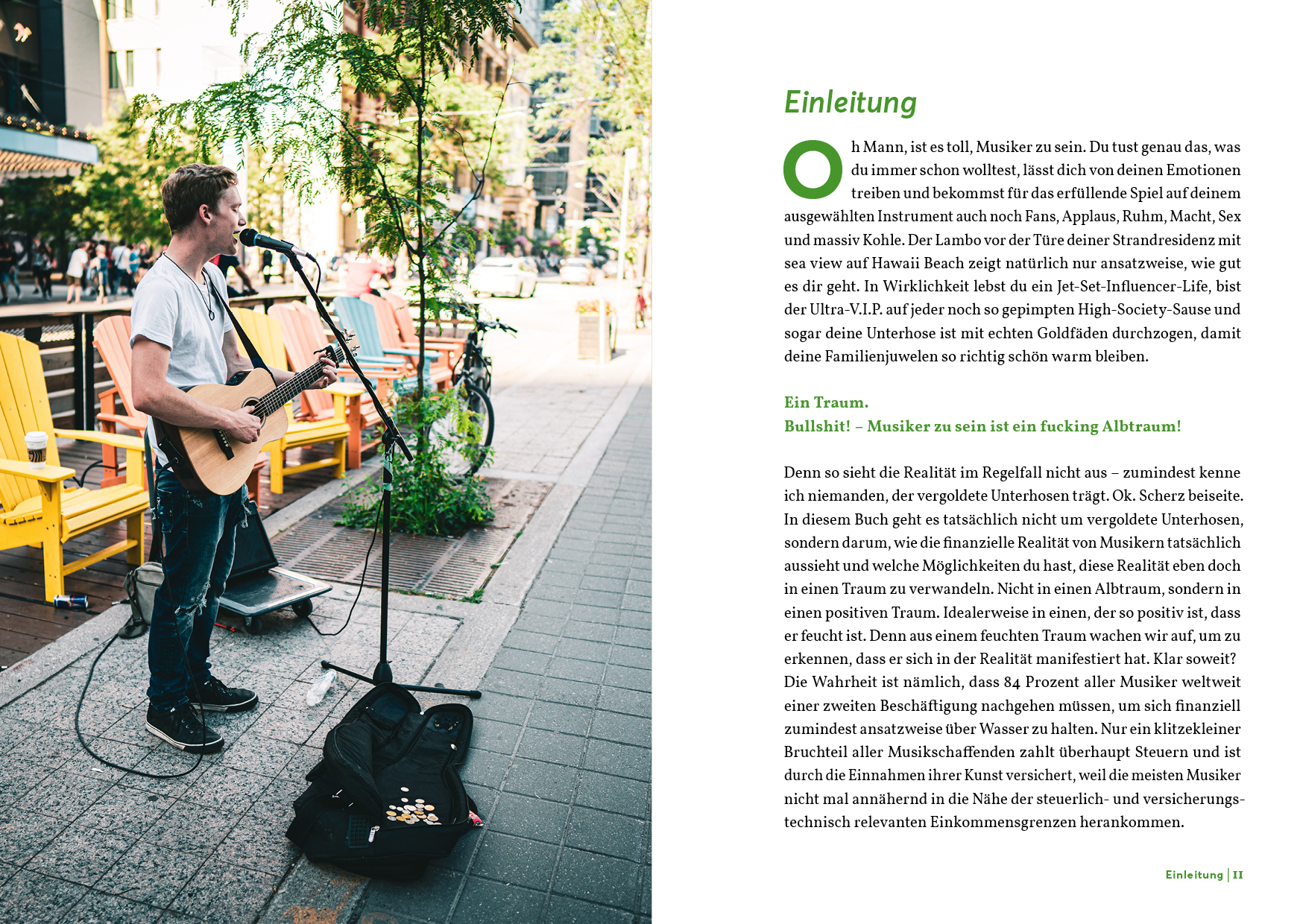 BUCH Der Erfolgreiche Musiker: Finanztipps für Musiker - Emanuel Treu