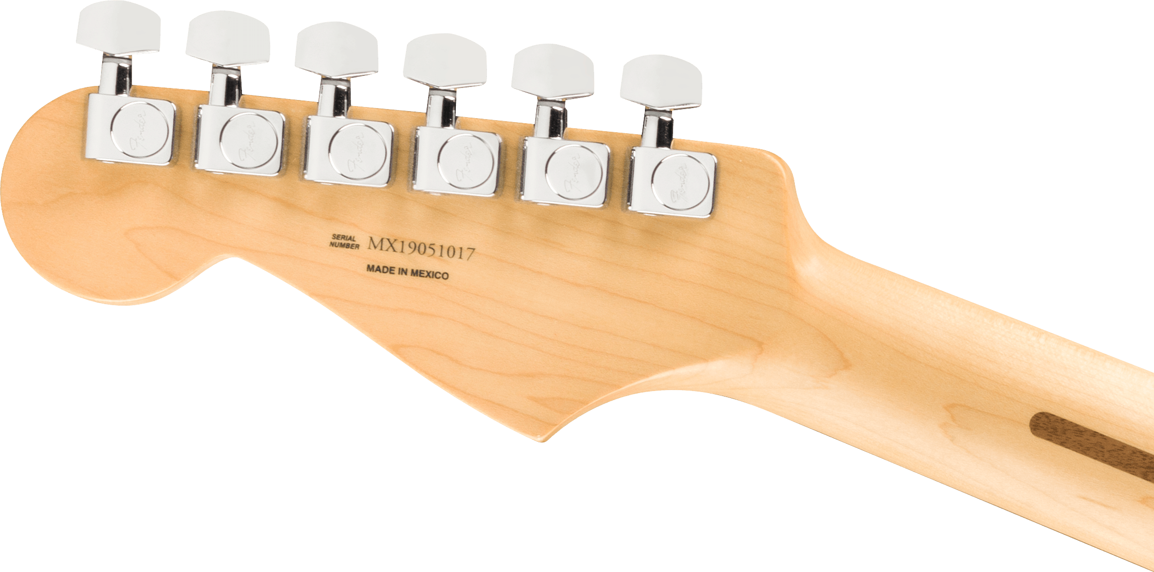 FENDER Player Stratocaster® , Pau Ferro Fingerboard, Silver
