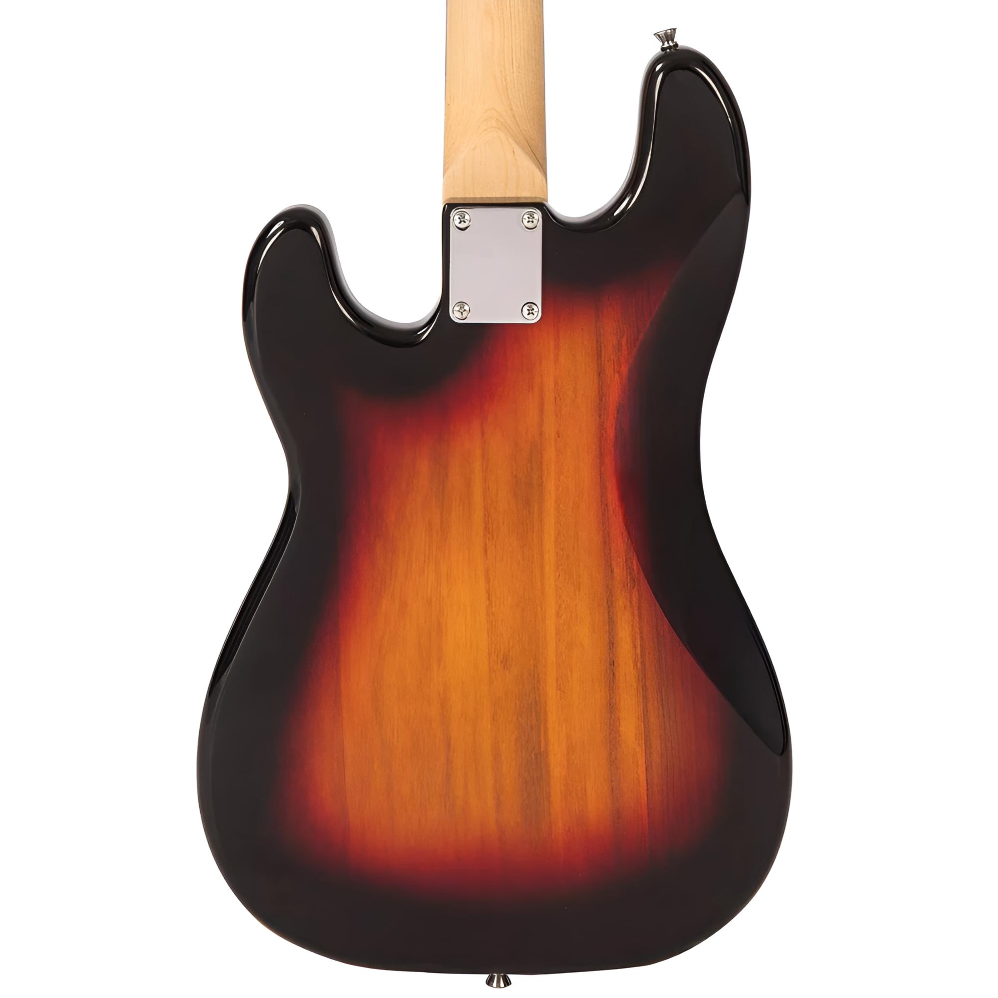 VINTAGE Coaster Series Bass V40SB