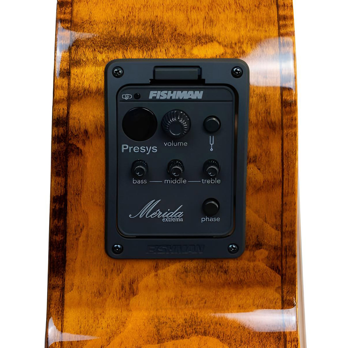MERIDA Deep Throat GC Westerngitarre mit Cutaway