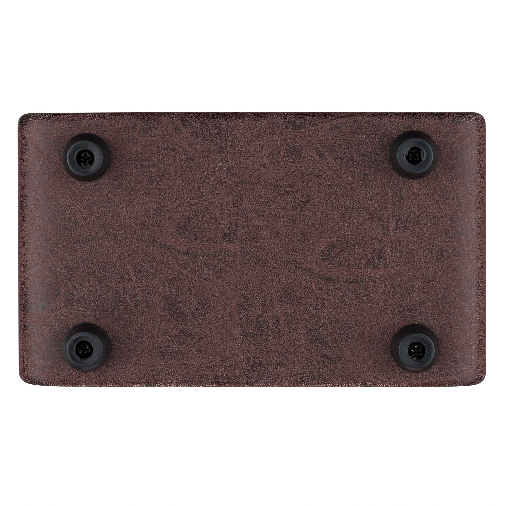 ORTEGA PTWO Akustikverstärker