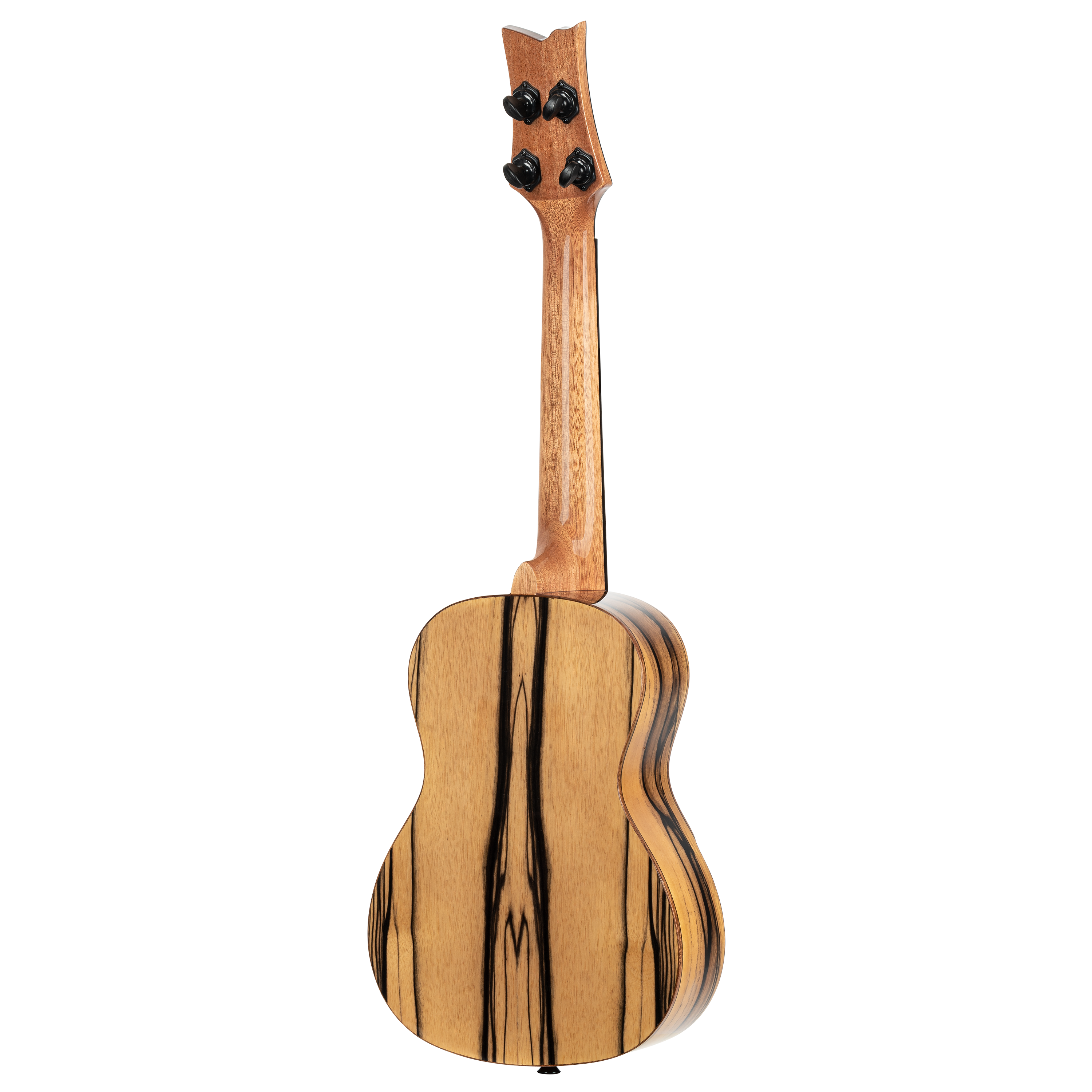 ORTEGA EAGLESUITE-U The Private Room Konzert Ukulele 4 String + Elite DeLuxe Gig Bag